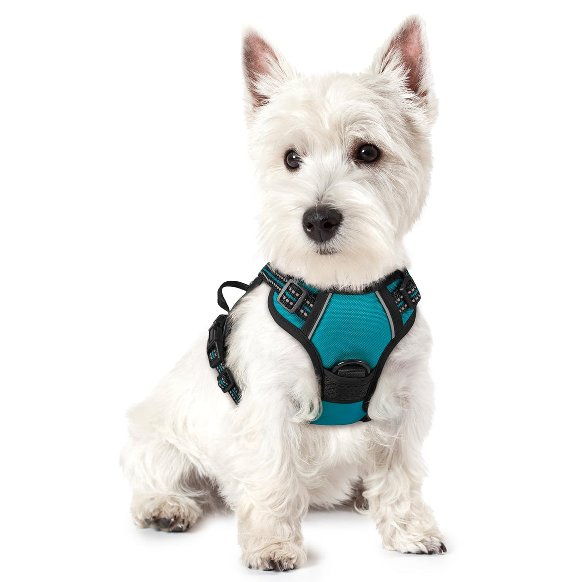 rabbitgoo Dog Harness No Pull with 2 Leash Clips, Adjustable Soft Padded, Reflective Oxford No Choke Pet Vest with Easy Control Handle for Medium Sized Dogs, Black, M