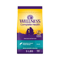 Wellness Complete Health Adult Dry Dog Food, Wholesome Grain Kibble, Natural, Chicken and Oatmeal Recipe, 30 lb Bag