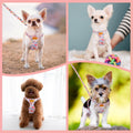 SlowTon No Pull Dog Harness with Leash for Small Medium Dogs, Flower XXS