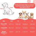 SlowTon No Pull Dog Harness with Leash for Small Medium Dogs, Flower XXS