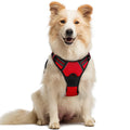 rabbitgoo Dog Harness No Pull with 2 Leash Clips, Adjustable Soft Padded, Reflective Oxford No Choke Pet Vest with Easy Control Handle for Large Dogs, Black, L