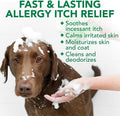 Vet's Best Allergy Itch Relief Dog Shampoo, Oatmeal Dog Shampoo for Itchy Skin, Cleans and Relieves Discomfort from Seasonal Allergies, Anti Itch Dog Soap, 16 Oz