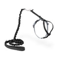PetSafe Come with Me Kitty Harness and Bungee Leash Adjustable, Lightweight Harness for Cats Large, Lilac