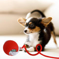 Automatic Ball for Small Dogs & Cats - Activated Moving Toy, Rechargeable, Self Play, Ball Toy with Long Tail Teaser