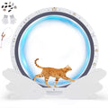 GTPLAYER Cat Wheels, 40" Diameter, Large Cat Exercise Wheel for Indoor Cats cat Treadmill Metal with Detachable Carpet & Teaser/Stickers, Ultra-Quiet Scroll Wheel with Latch, Safe and Stable Grey