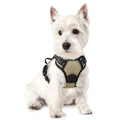 rabbitgoo Dog Harness No Pull with 2 Leash Clips, Adjustable Soft Padded, Reflective Oxford No Choke Pet Vest with Easy Control Handle for Large Dogs, Black, L