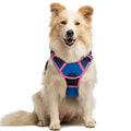 rabbitgoo Dog Harness No Pull with 2 Leash Clips, Adjustable Soft Padded, Reflective Oxford No Choke Pet Vest with Easy Control Handle for Large Dogs, Black, L