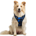 rabbitgoo Dog Harness No Pull with 2 Leash Clips, Adjustable Soft Padded, Reflective Oxford No Choke Pet Vest with Easy Control Handle for Medium Sized Dogs, Black, M