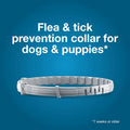 Seresto Flea & Tick Collar For Dogs Over 18 lbs., Treatment & Prevention, Vet-Recommend, 8 Month Protection