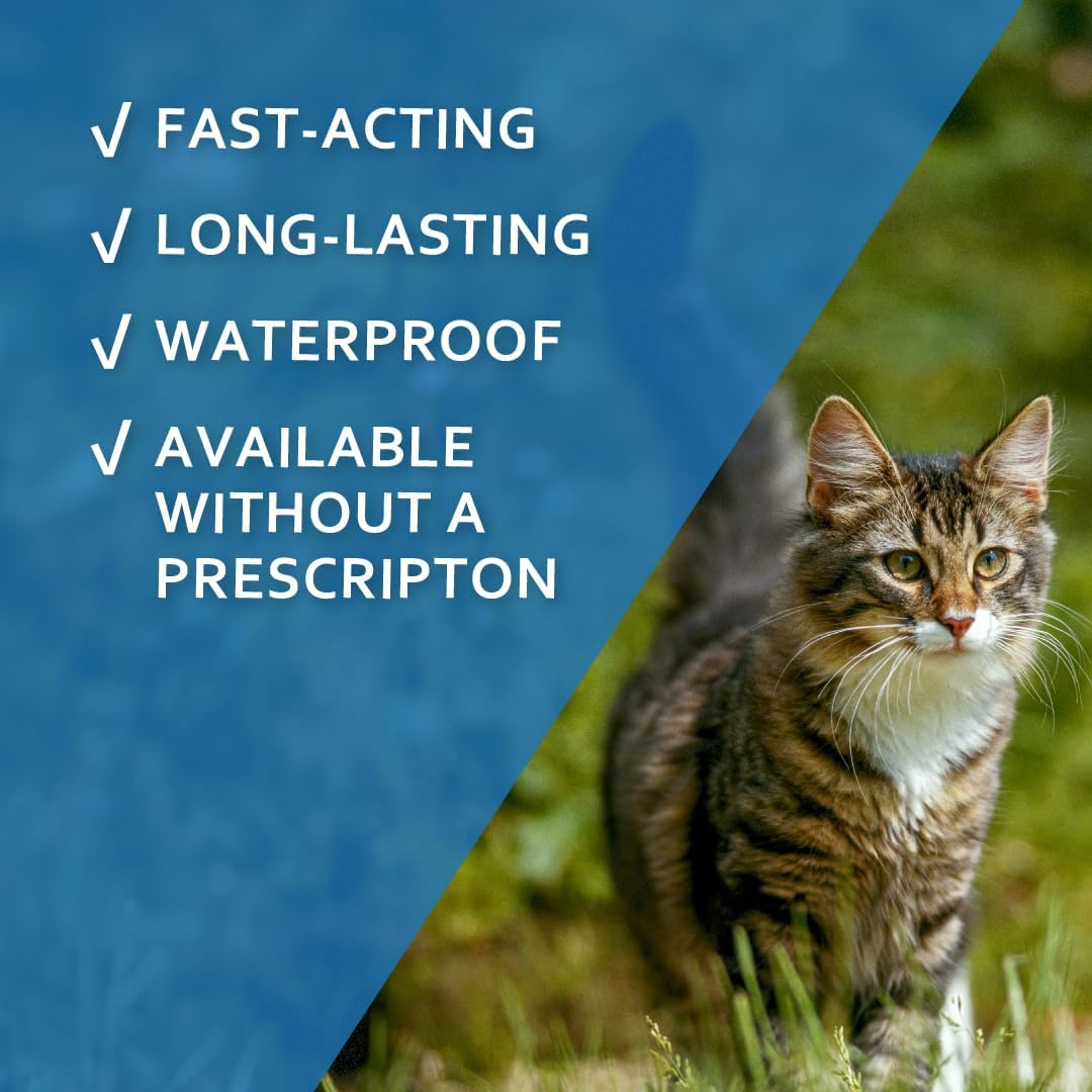 Sentry Fiproguard Flea & Tick Cats 1.5 lbs+, Fipronil, 6-Month | Ideal for Cats & Kittens 1.5 lbs+; Kills Fleas, Ticks & Chewing Lice for 30 Days; 6-month supply; Vet-Quality OTC Cat Formula