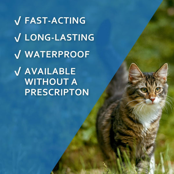 Sentry Fiproguard Flea & Tick Cats 1.5 lbs+, Fipronil, 6-Month | Ideal for Cats & Kittens 1.5 lbs+; Kills Fleas, Ticks & Chewing Lice for 30 Days; 6-month supply; Vet-Quality OTC Cat Formula