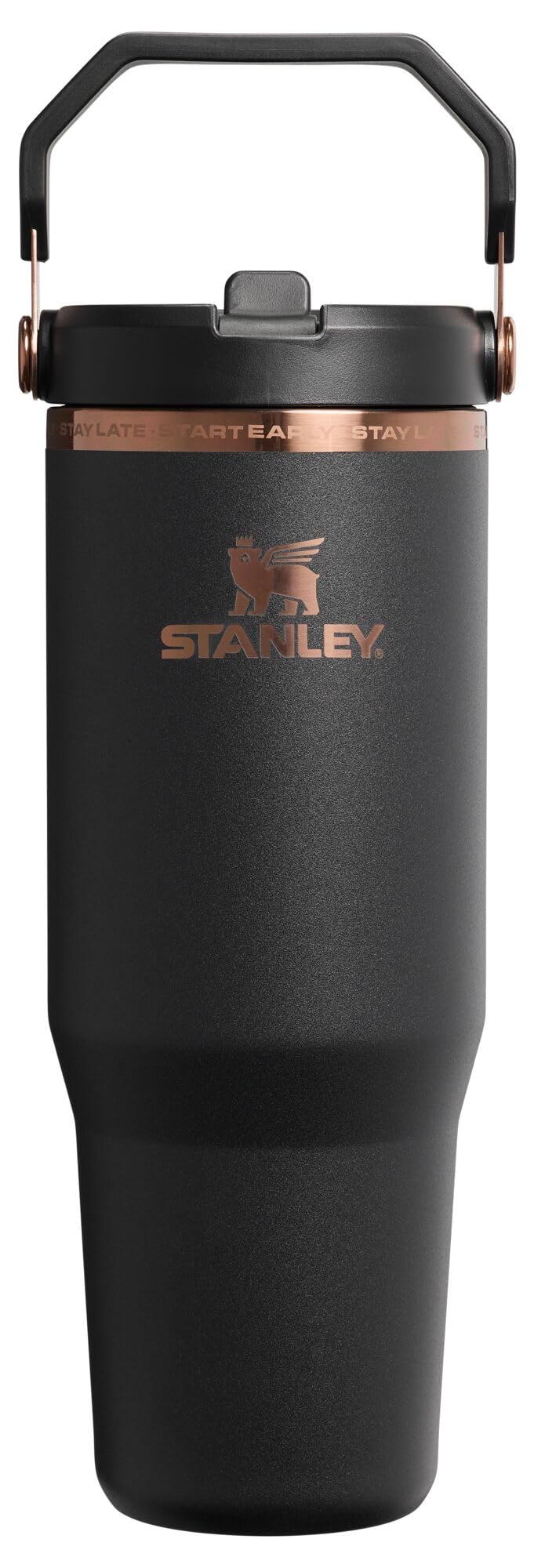 Stanley IceFlow 2.0 Flip Straw Tumbler with Handle 30 oz | Twist On Lid and Flip Up Straw | Leak Resistant Water Bottle | Insulated Stainless Steel | BPA-Free | Dried Pine