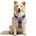 rabbitgoo Dog Harness No Pull with 2 Leash Clips, Adjustable Soft Padded, Reflective Oxford No Choke Pet Vest with Easy Control Handle for Medium Sized Dogs, Black, M