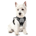 rabbitgoo Dog Harness No Pull with 2 Leash Clips, Adjustable Soft Padded, Reflective Oxford No Choke Pet Vest with Easy Control Handle for Medium Sized Dogs, Black, M