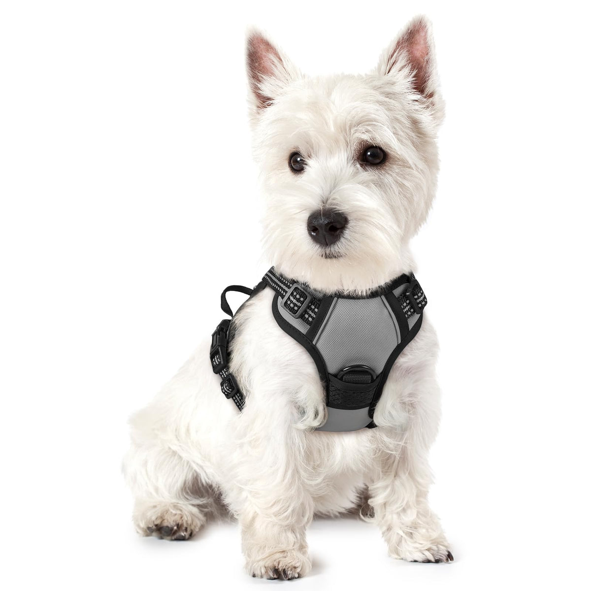 rabbitgoo Dog Harness No Pull with 2 Leash Clips, Adjustable Soft Padded, Reflective Oxford No Choke Pet Vest with Easy Control Handle for Large Dogs, Black, L