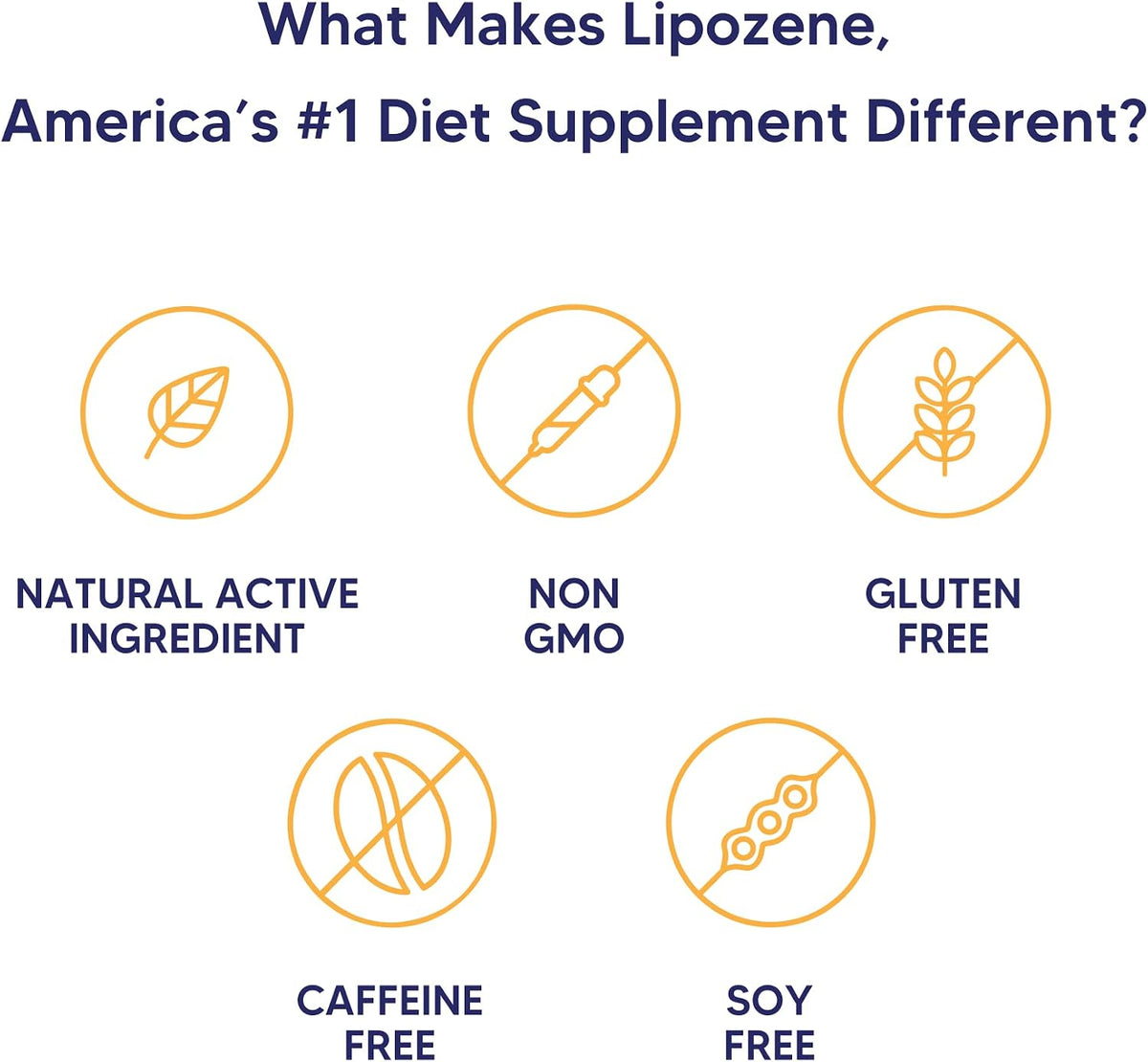 Lipozene 2 120 Count Bottles