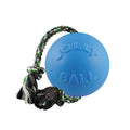 Jolly Pets Romp-n-Roll Rope and Ball Dog Toy, 8 Inches/Large, Blueberry, All Breed Sizes