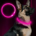 Led Dog Collar, BSEEN USB Rechargeable Flash Dog Necklace Light, Pet Safety Collar Makes Your Beloved Dogs Be Seen at Night for Small Medium Large Dogs(Green)