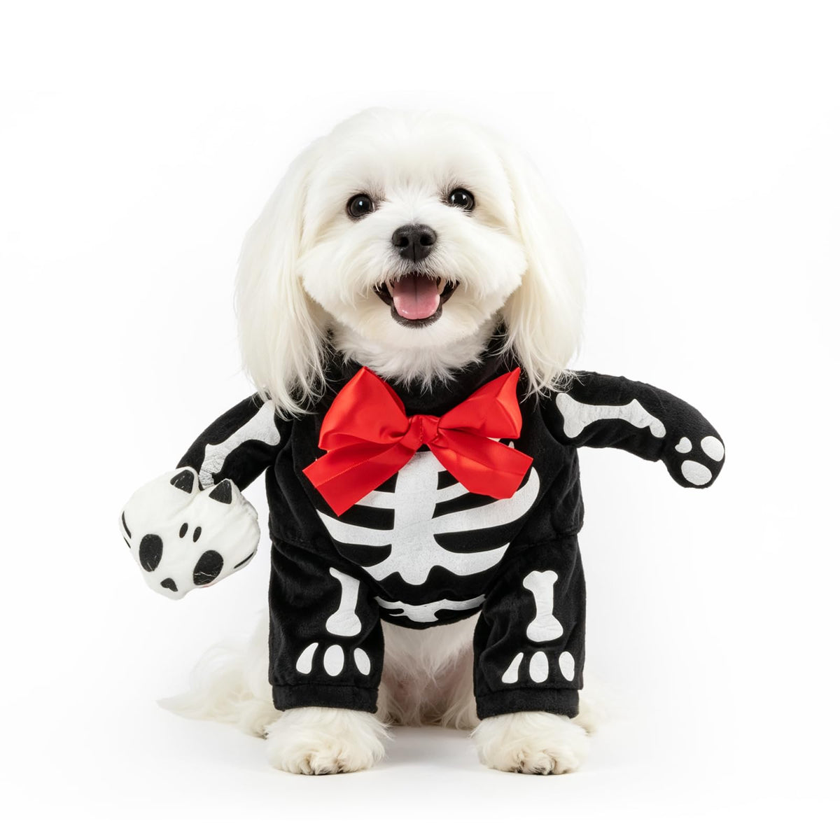 NACOCO Halloween Dog Doctor Costume - Pet Dentist Clothes Cat Funny Uniform Green Outfit Apparel Adjustable for Small Medium and Large Dogs(Green Dentist, S)