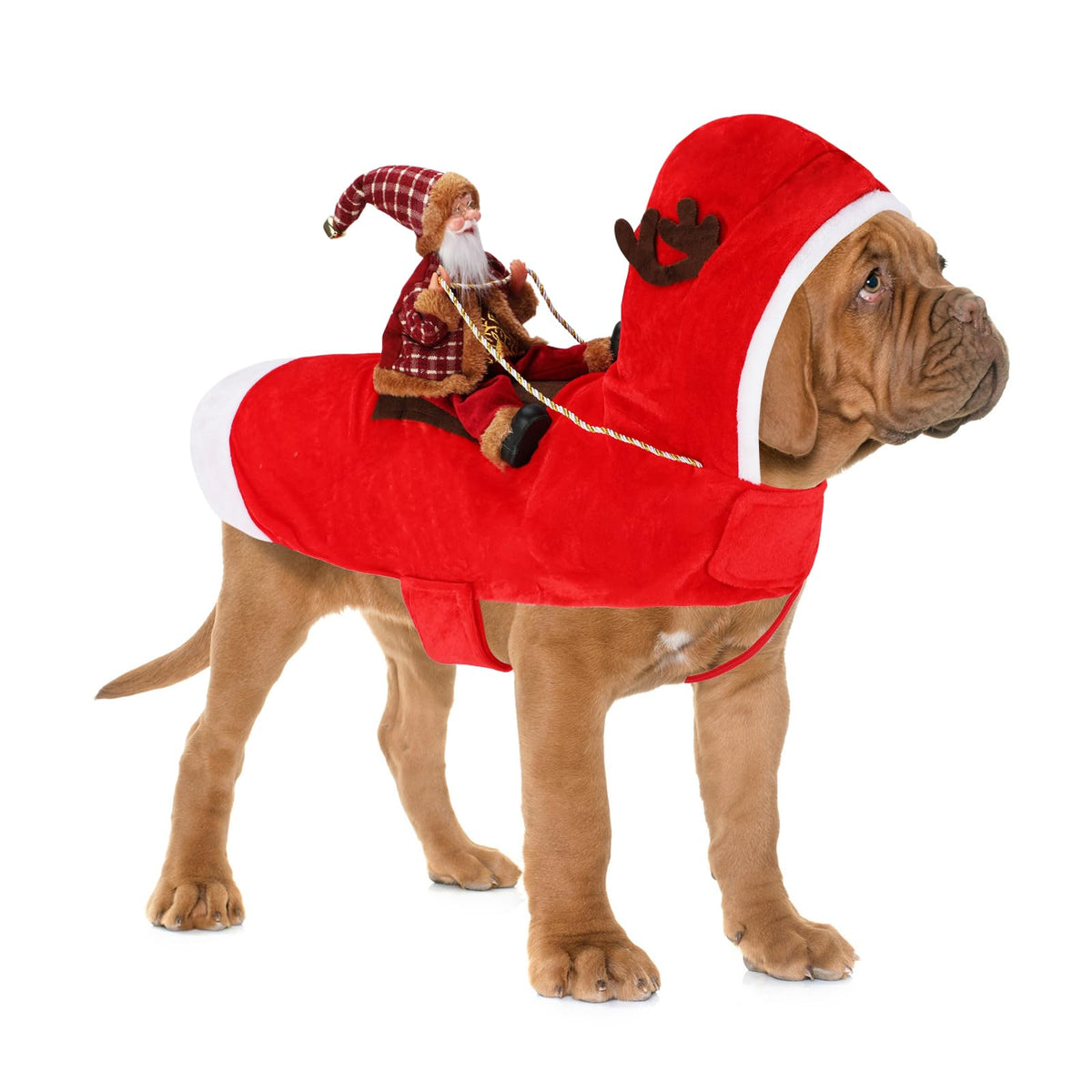 Santa Dog Costume, Dog Christmas Outfit, Riding Pet Costume, Size M