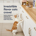Instinct Original Dry Cat Food, Raw Coated Kibble, Real Chicken, 11 lb. Bag