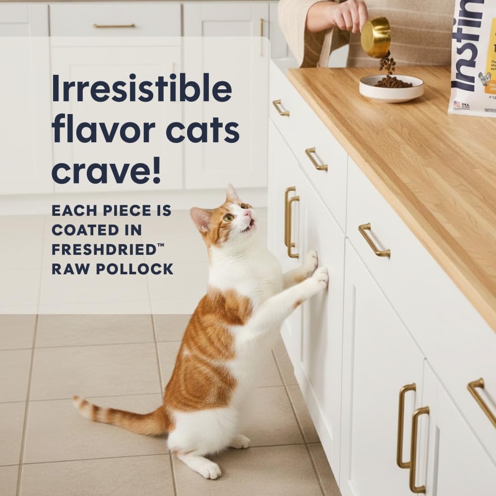 Instinct Original Dry Cat Food, Raw Coated Kibble, Real Chicken, 11 lb. Bag