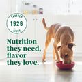 Nutro Ultra Dry Dog Food for Adult Dogs with a Trio of Proteins from Chicken, Lamb and Salmon, 30 lb. Bag