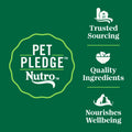 Nutro Wholesome Essentials Dry Cat Food, Indoor Cat Food Dry Chicken & Brown Rice Recipe, 14 lbs.