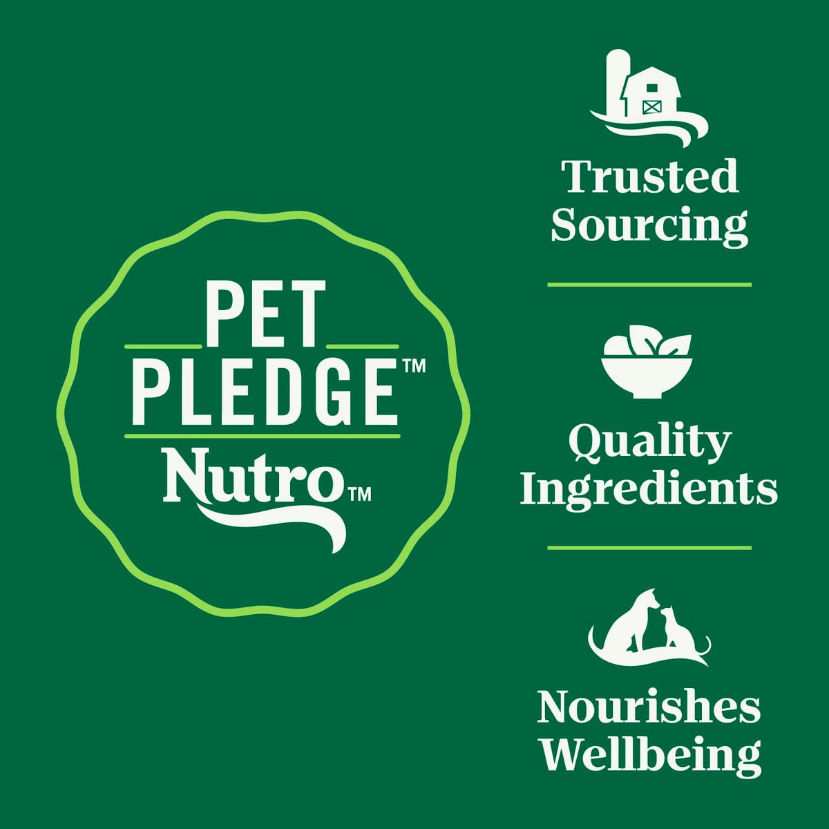Nutro Wholesome Essentials Dry Cat Food, Indoor Cat Food Dry Chicken & Brown Rice Recipe, 14 lbs.
