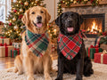 Christmas Dog Bandanas 2PCS-Large,Red-Green Plaid Scarf w/Tassels for Dogs