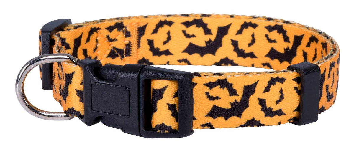 Native Pup Halloween Dog Collar- Spooky Fall Themed Horror Costume Collars- Skull, Pumpkin, Ghost, Bat, Witch, Candy Corn, Spider- Adjustable for Small, Medium, Large Breeds (Small, Big Pumpkins)