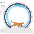 GTPLAYER Cat Wheels, 40" Diameter, Large Cat Exercise Wheel for Indoor Cats cat Treadmill Metal with Detachable Carpet & Teaser/Stickers, Ultra-Quiet Scroll Wheel with Latch, Safe and Stable Grey