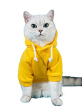 QWINEE Basic Dog Hoodie Sweatshirt Puppy Sweater Warm Cat Costumes Pet Clothes for Chihuahua Puppy Kitten Small Medium Dogs Cadet Blue Medium