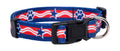 Native Pup Halloween Dog Collar- Spooky Fall Themed Horror Costume Collars- Skull, Pumpkin, Ghost, Bat, Witch, Candy Corn, Spider- Adjustable for Small, Medium, Large Breeds (Small, Big Pumpkins)