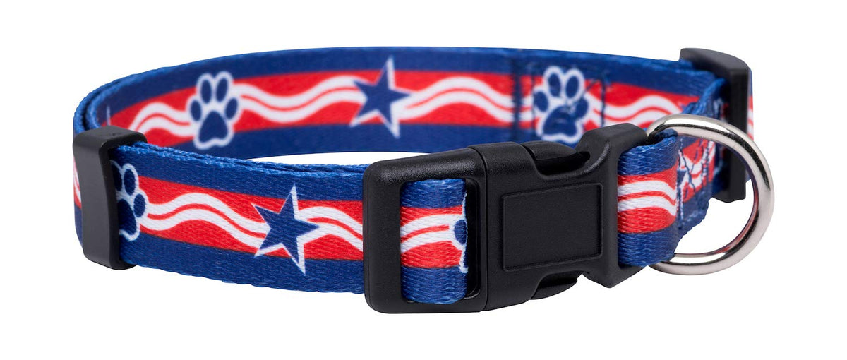 Native Pup Halloween Dog Collar- Spooky Fall Themed Horror Costume Collars- Skull, Pumpkin, Ghost, Bat, Witch, Candy Corn, Spider- Adjustable for Small, Medium, Large Breeds (Small, Big Pumpkins)