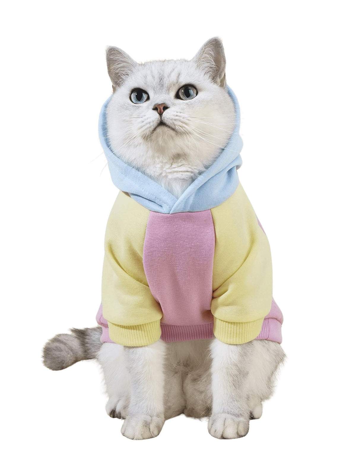 QWINEE Basic Dog Hoodie Sweatshirt Puppy Sweater Warm Cat Costumes Pet Clothes for Chihuahua Puppy Kitten Small Medium Dogs Cadet Blue Medium