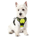 rabbitgoo Dog Harness No Pull with 2 Leash Clips, Adjustable Soft Padded, Reflective Oxford No Choke Pet Vest with Easy Control Handle for Medium Sized Dogs, Black, M