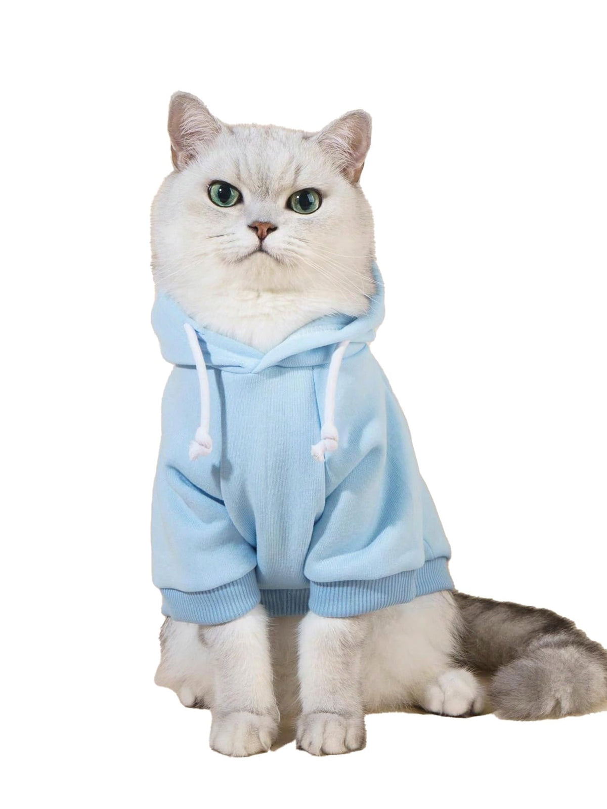 QWINEE Basic Dog Hoodie Sweatshirt Puppy Sweater Warm Cat Costumes Pet Clothes for Chihuahua Puppy Kitten Small Medium Dogs Cadet Blue Medium
