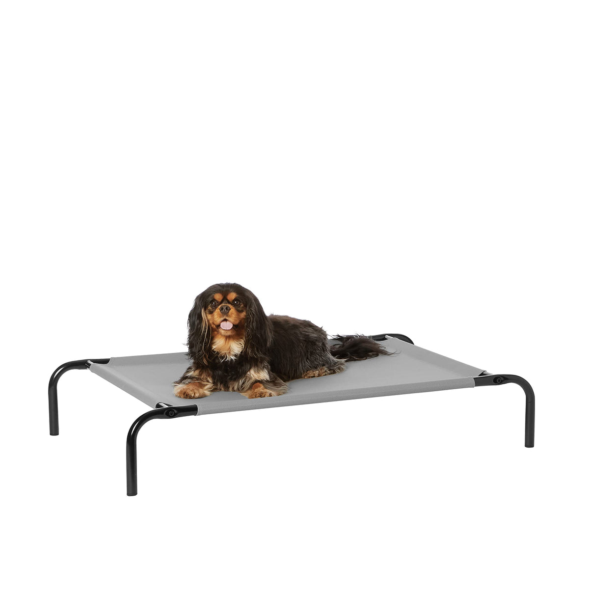 Amazon Basics Cooling Breathable Elevated Dog Bed with Durable Metal Frame for Large Dogs, X-Large, 60 x 37 x 9 Inch, Green, Easy to Clean
