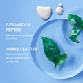 LANEIGE Water Bank Blue Hyaluronic Cream Moisturizer: Hydrating Korean Face Cream with Squalane & Ceramide for Skin Barrier Support, Dermatologist-Tested