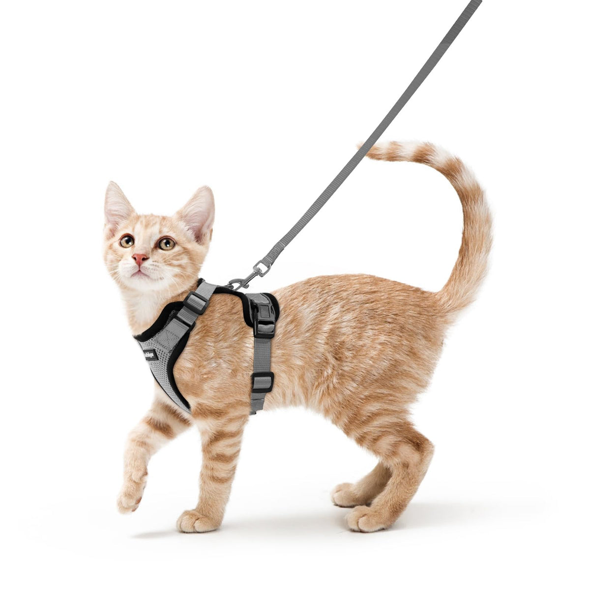 rabbitgoo Cat Harness and Leash Set, Escape Proof Vest, Black | Soft Breathable Mesh, Easy Adjustable Fit, Snap Buckles, Sturdy Clip, Reflective Strips, for Small & Average Cats Walks, Xs