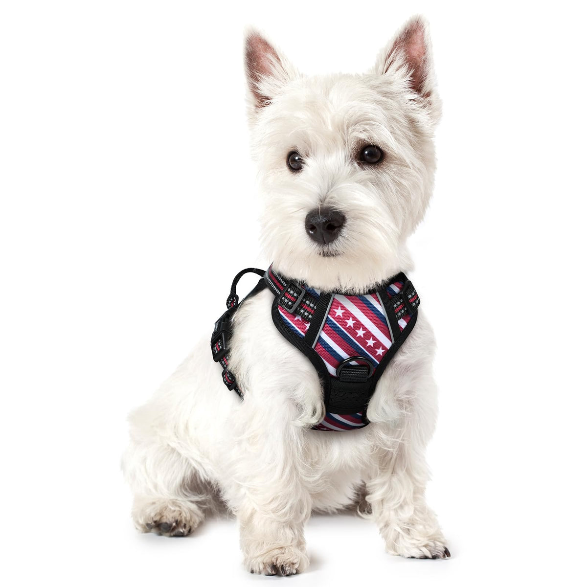 rabbitgoo Dog Harness No Pull with 2 Leash Clips, Adjustable Soft Padded, Reflective Oxford No Choke Pet Vest with Easy Control Handle for Large Dogs, Black, L