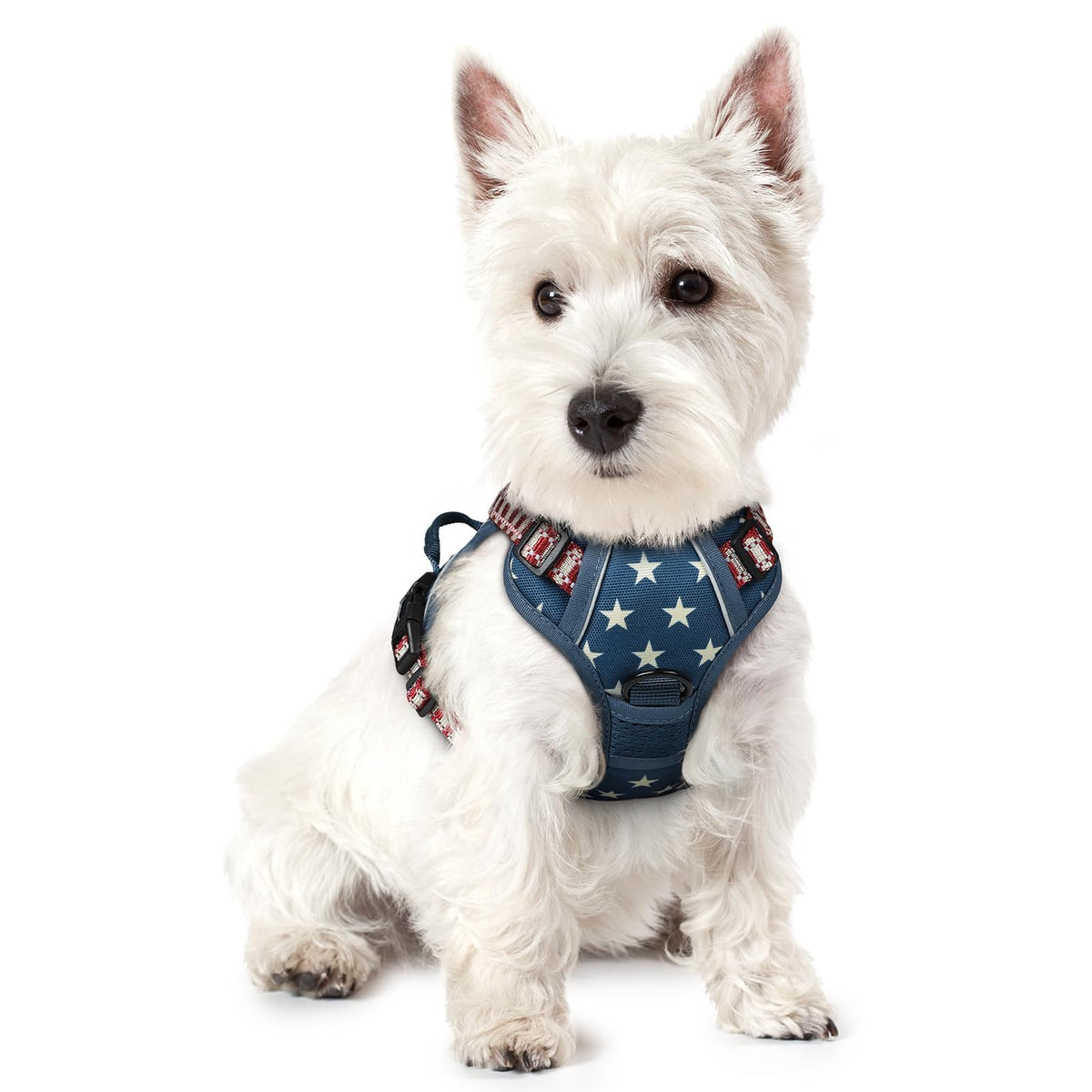 rabbitgoo Dog Harness No Pull with 2 Leash Clips, Adjustable Soft Padded, Reflective Oxford No Choke Pet Vest with Easy Control Handle for Medium Sized Dogs, Black, M