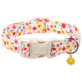 Fall Plaid Dog Collar with Maple Leaf Charm – Adjustable Autumn Checkered Dog Collar for Small Medium Large Dogs, Soft Cotton Puppy Collars with Quick Release Buckle and Metal D-Ring