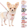 SlowTon No Pull Dog Harness with Leash for Small Medium Dogs, Flower XXS