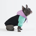 Spark Paws Dog Hoodie – Premium Dog Sweater for Small, Medium, and Large Dogs | Warm Outfits for French Bulldogs, Pitbull, Puppy, Winter Jacket Alternative - Slate Blue - XL