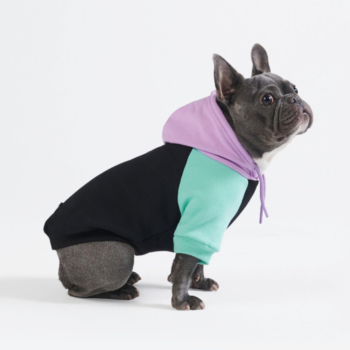 Spark Paws Dog Hoodie – Premium Dog Sweater for Small, Medium, and Large Dogs | Warm Outfits for French Bulldogs, Pitbull, Puppy, Winter Jacket Alternative - Slate Blue - XL