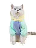 QWINEE Basic Dog Hoodie Sweatshirt Puppy Sweater Warm Cat Costumes Pet Clothes for Chihuahua Puppy Kitten Small Medium Dogs Cadet Blue Medium