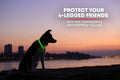ILLUMISEEN LED Dog Collar USB Rechargeable - Bright & High Visibility Lighted Glow Collar for Pet Night Walking - Weatherproof, in 6 Colors & 6 Sizes (Green Large)