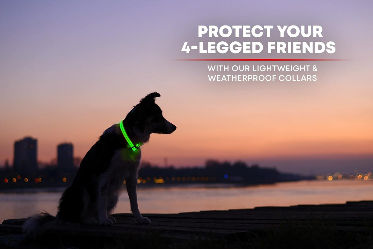 ILLUMISEEN LED Dog Collar USB Rechargeable - Bright & High Visibility Lighted Glow Collar for Pet Night Walking - Weatherproof, in 6 Colors & 6 Sizes (Green Large)
